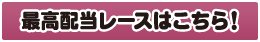最高配当レースはこちら！